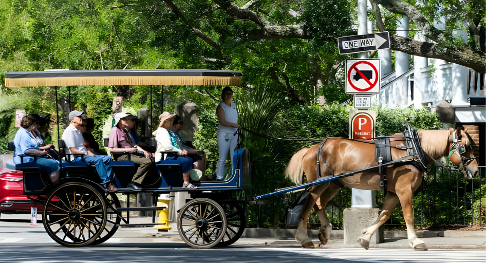  Carriage Ride
Company Charleston, SC