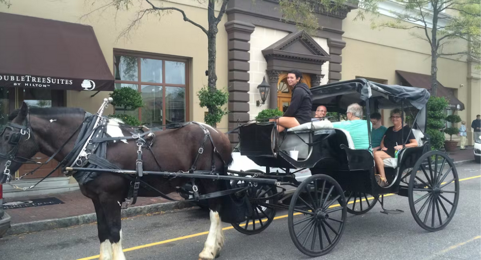  Most Fun Carriage Tours Charleston, SC