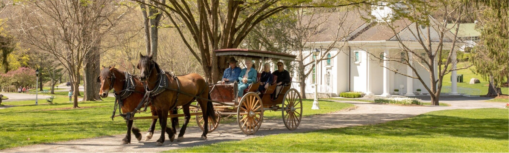  Carriage Ride
Company Charleston, SC