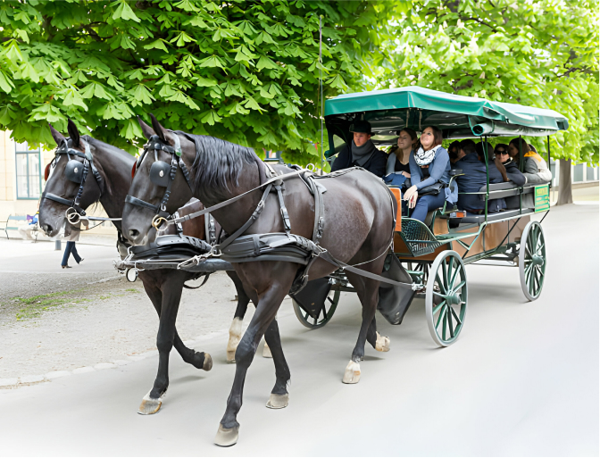  Group Carriage Rides Charleston, SC