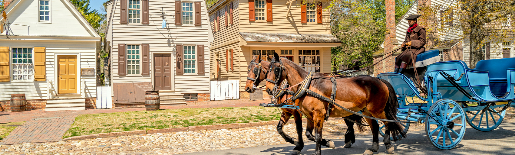  Most Fun Carriage Tours James Island, SC