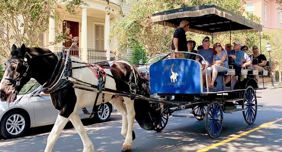  Carriage Ride
Company Charleston, SC