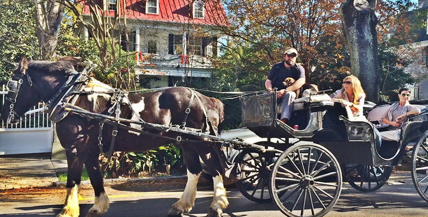 Best Carriage Tours James Island, SC